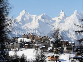 Pleasant apartment with sauna Nendaz
